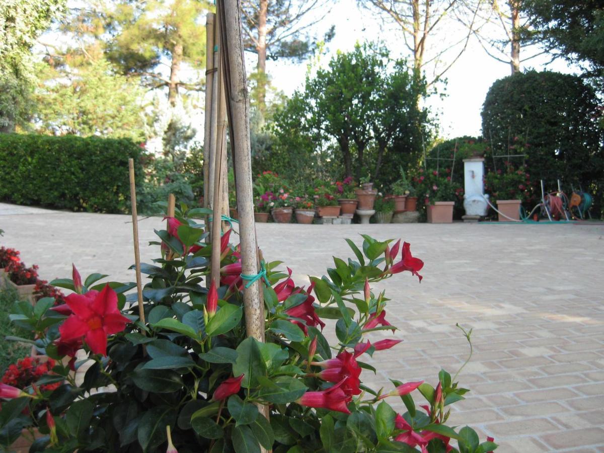 Casa Dei Pini Country House Osimo Exterior photo
