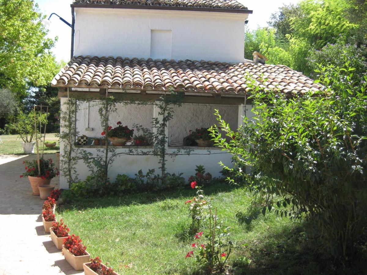 Casa Dei Pini Country House Osimo Exterior photo